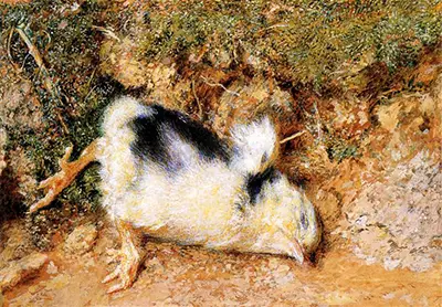 John Ruskin's Dead Chick William Holman Hunt